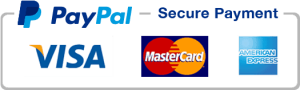 PayPal Secure Online Payment Icon